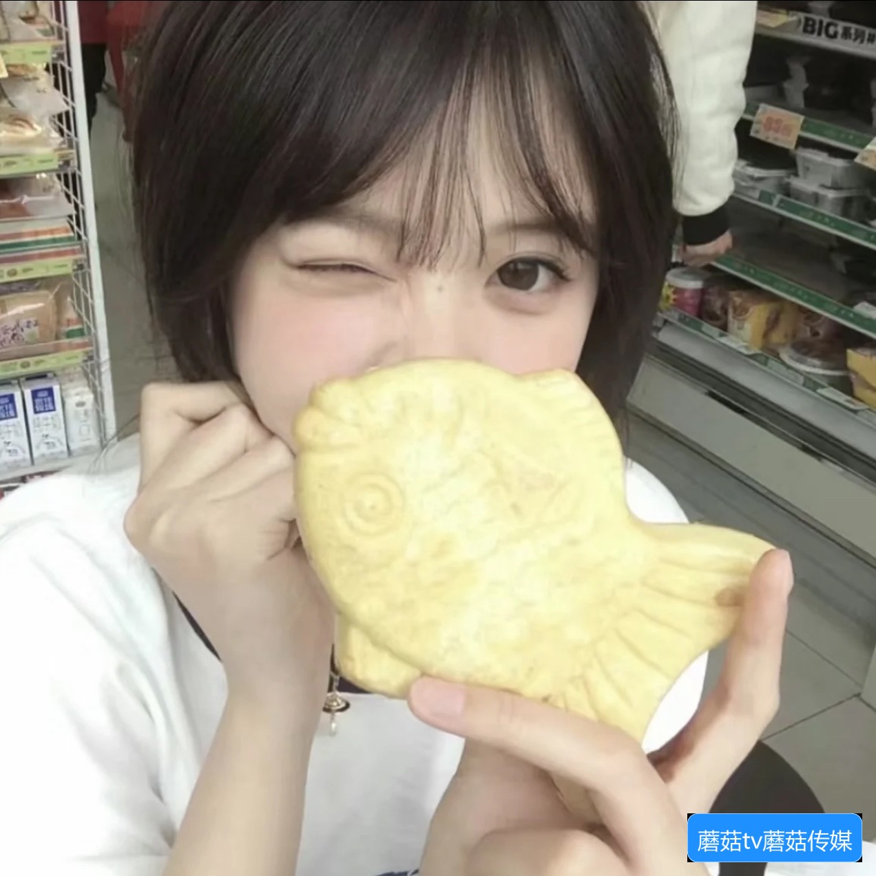 蘑菇TV视频网站有哪些主要功能和使用方法？