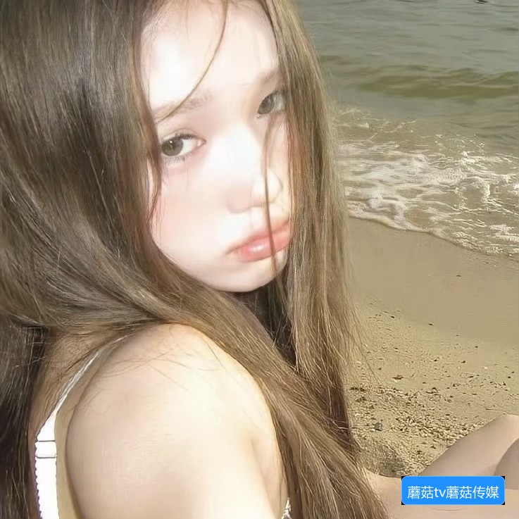 蘑菇TV和蘑菇传媒有什么区别以及它们的主要功能是什么